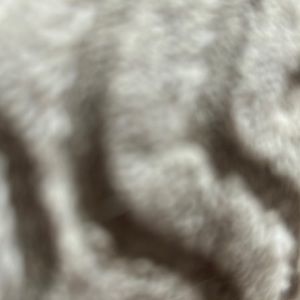 Meet your Posher, Sawyer